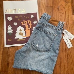Aritzia Mid Thigh Denim Shorts